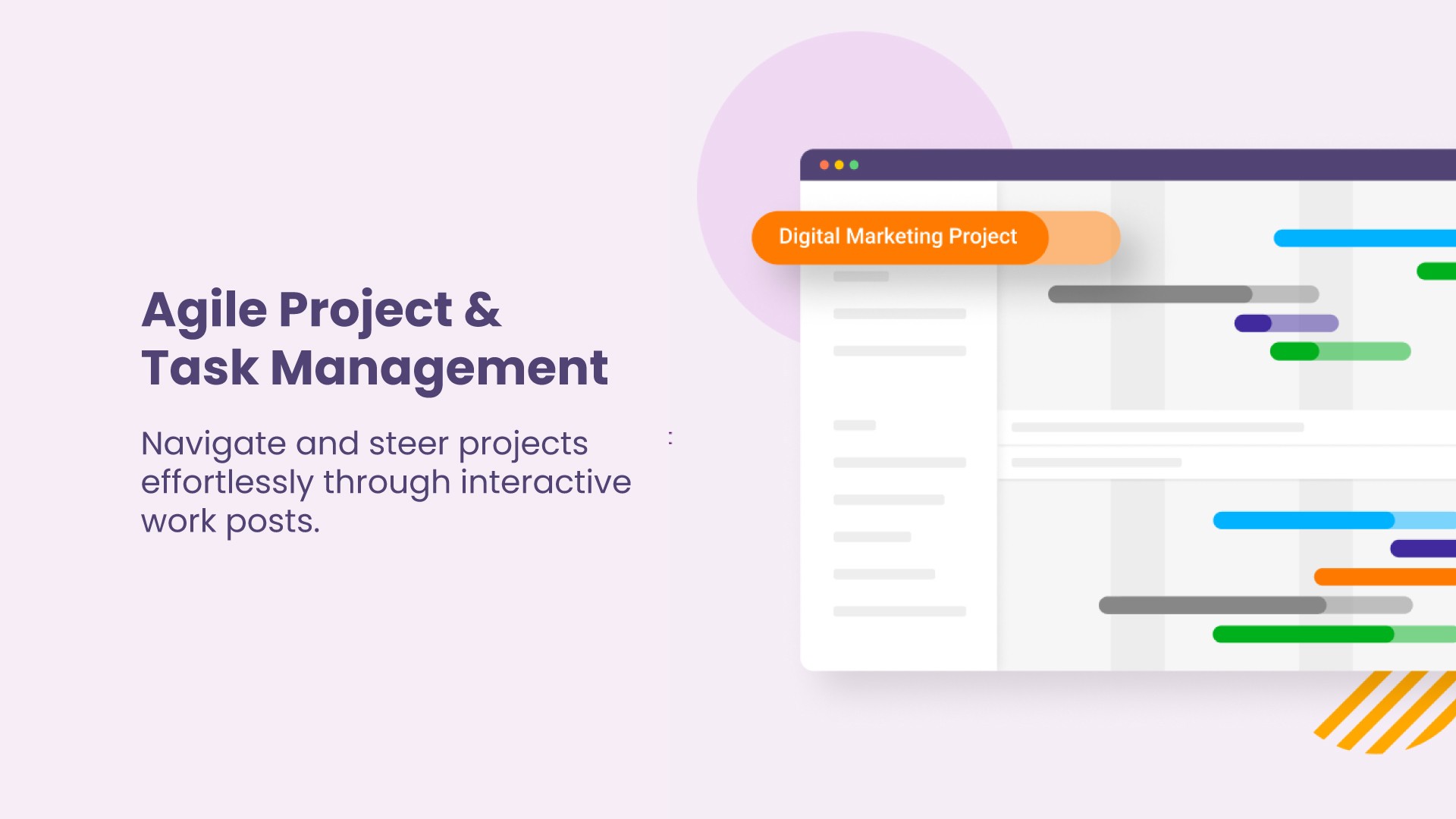 Vues du projet