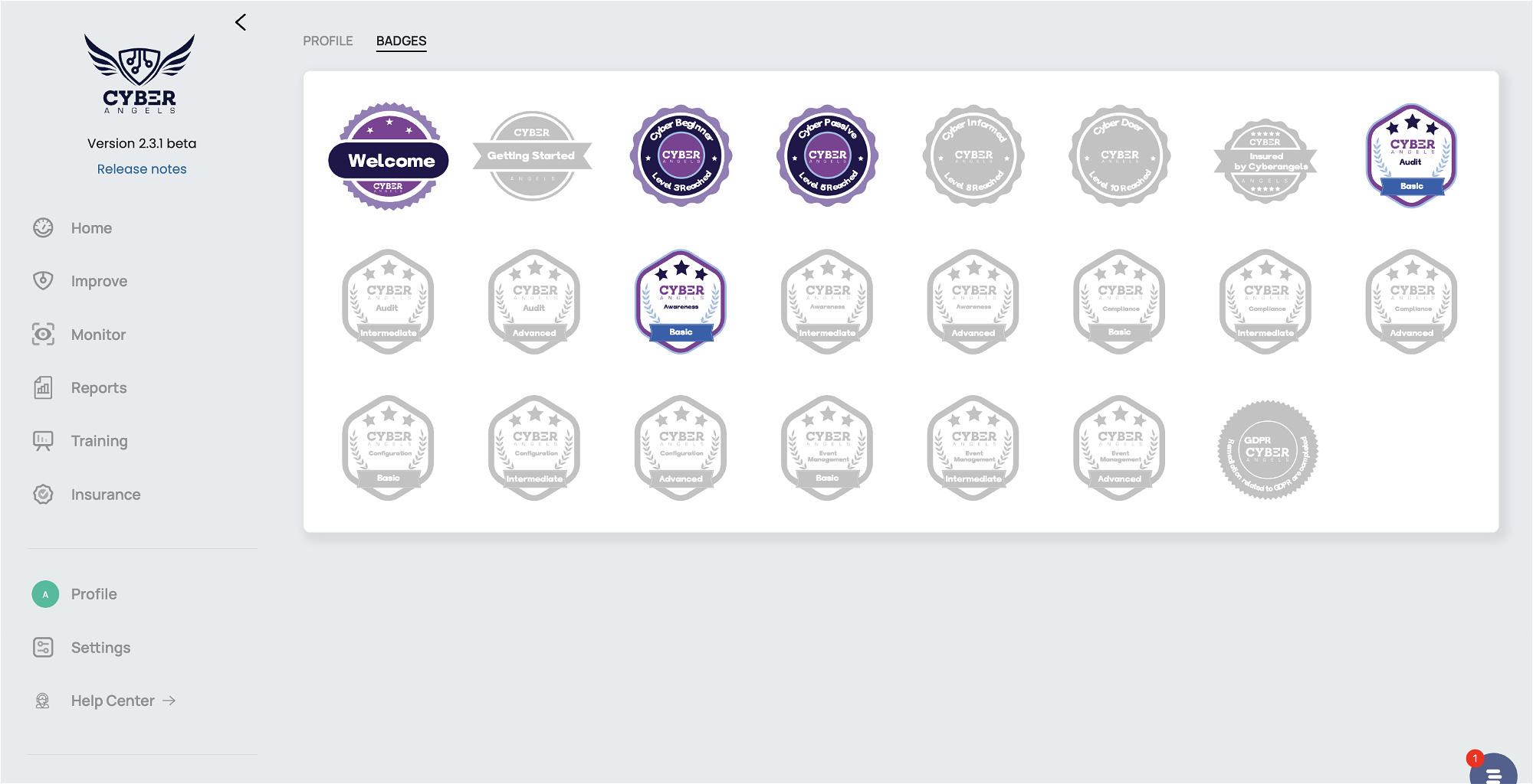Badges à collectionner de gamification